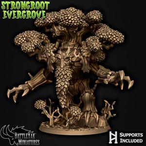 Oldgrowth Holtwatcher
