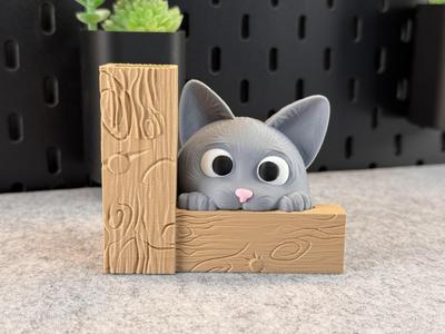 Cute Cat