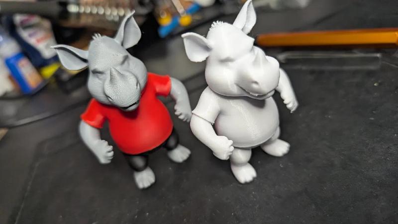 1. FC Nuernberg Rhinola   