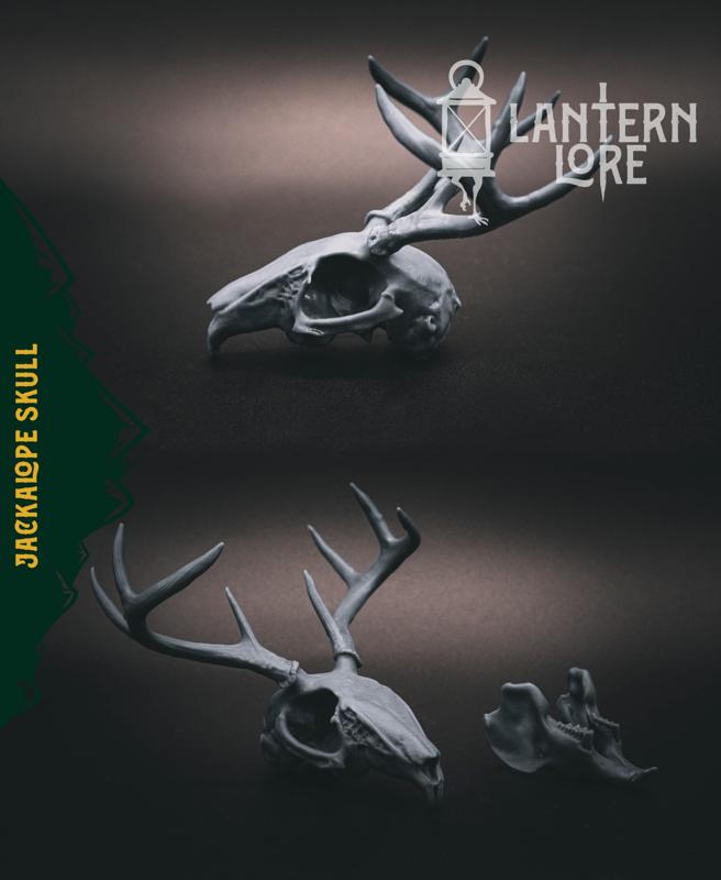 Jackalope Skull (Pre Supported)