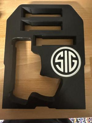 Lifepod 2.0 Sig P365 with 3 mags