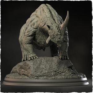 Rhinovarix