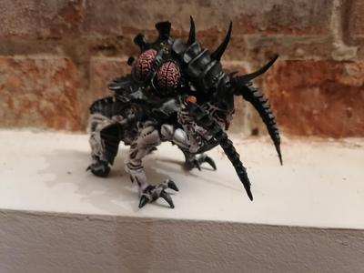 femaleceptor