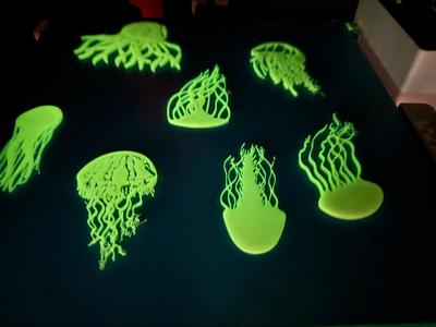 Glow in Dark Jelly fish