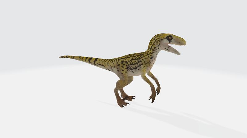 Utahraptor