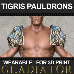 Tigris of Gaul Pauldrons 3D print model 3D print model