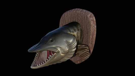 fish pike muskellunge muskie / Esox masquinongy head trophy open mouth woodbase statue detailed texture for 3d printing