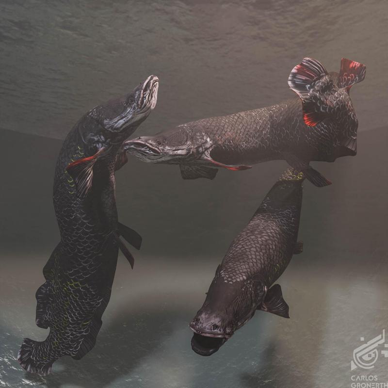 "Arapaima Gigas /Pirarucú - 3D Model for Printing and Animation".