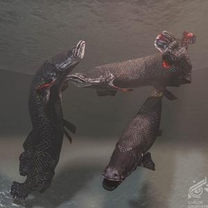 "Arapaima Gigas /Pirarucú - 3D Model for Printing and Animation".