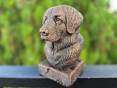 Leonberger Bust – Dog Collector Statue