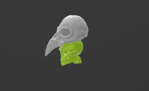 Raven helmet with skull