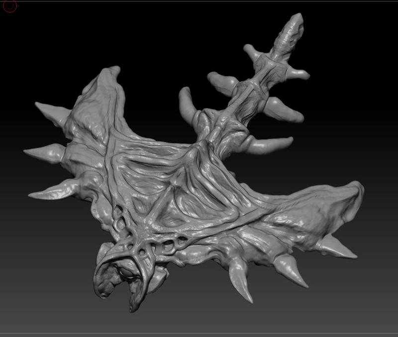 Sorceror's pet manta ray.