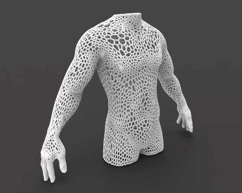 Male body mesh bust