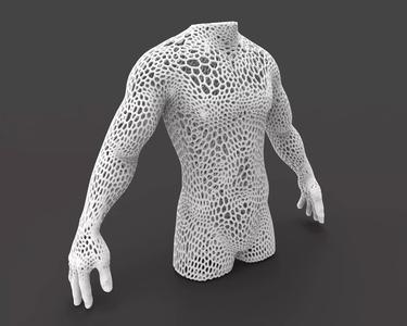 Male body mesh bust