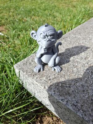 Cheeky Thinking Monkey