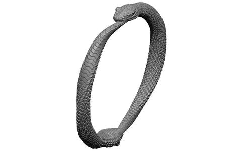 Couple Snake Ring