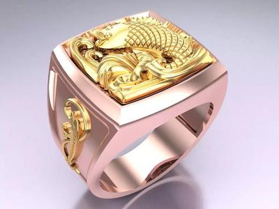 Carp Rings - N1238