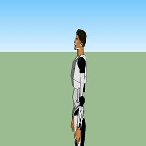 RoboSolo