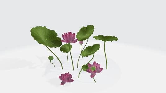 Lotus Flower 3D Model 3D print model
