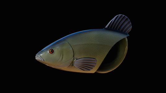 fish head common tench / tinca tinca keychain / pendant 3d