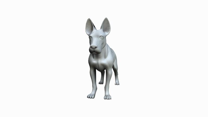 bull terrier