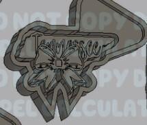 States with Bow Silicone Mold Housing - Tennessee