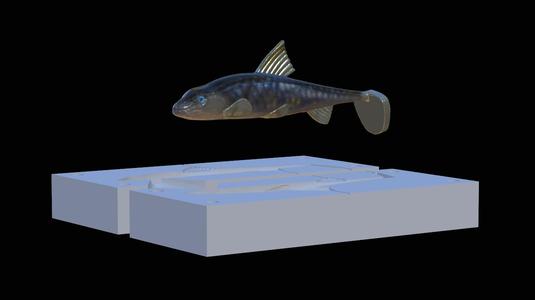 AM bait gudgeon / gobio gobio fish 10cm hoof form for predator fishing