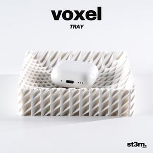 voxel ⬝ TRAY