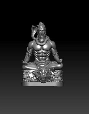 lord siva with tiger chair