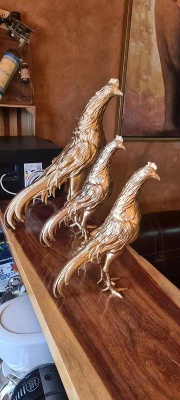 Rooster Gallo de pelea