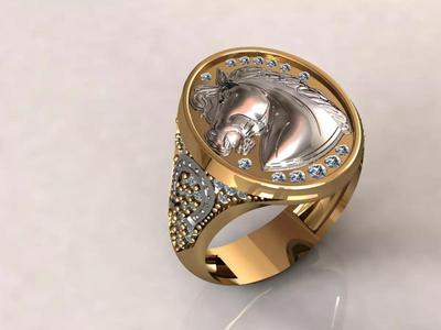 Ring Horse 17