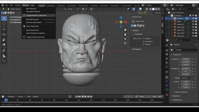 Another scars head with scars 2