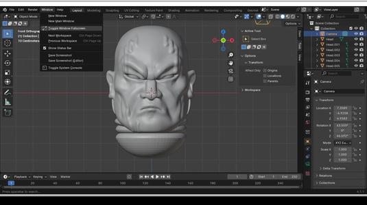 Another scars head with scars 2