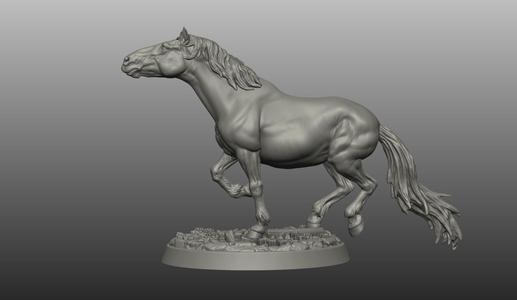 HORSE POSE 14