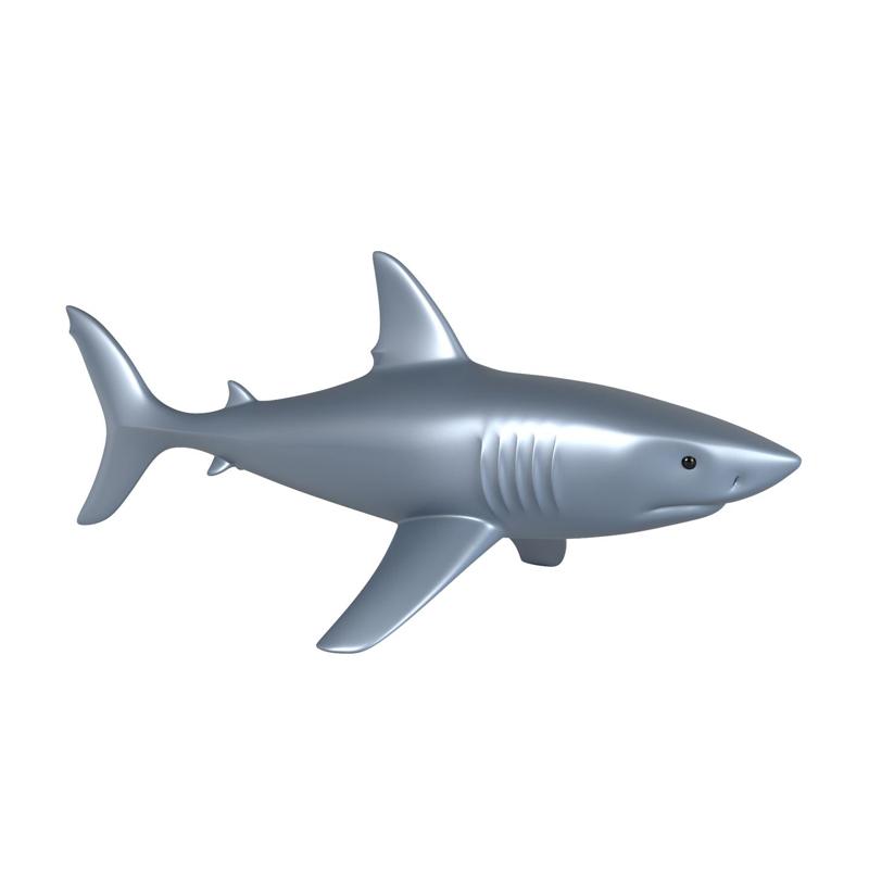 Shark