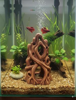 Rock Sculpture — Aquarium Series — #7