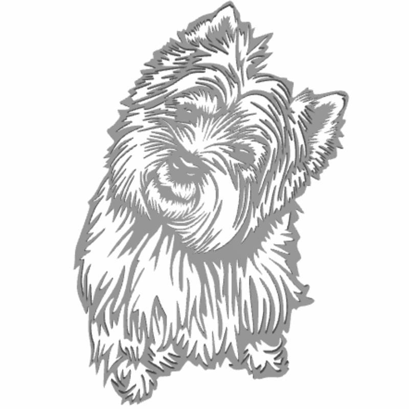 Cairn Terrier Dog
