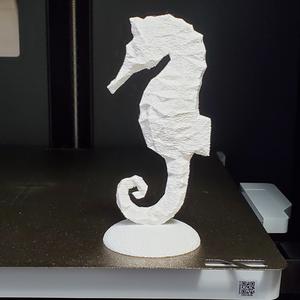 Low Poly Seahorse
