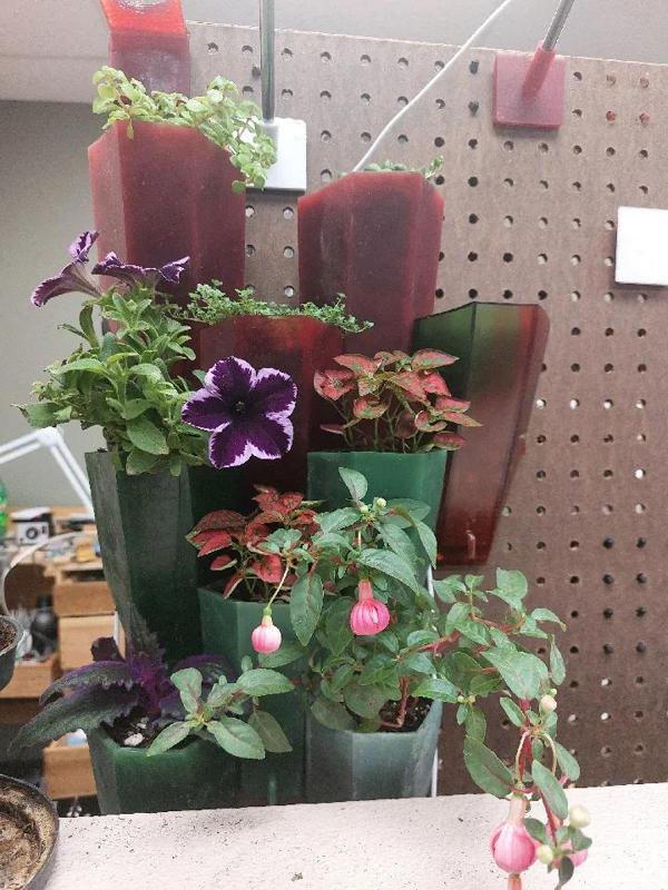 tessellating  pegboard plant wall   