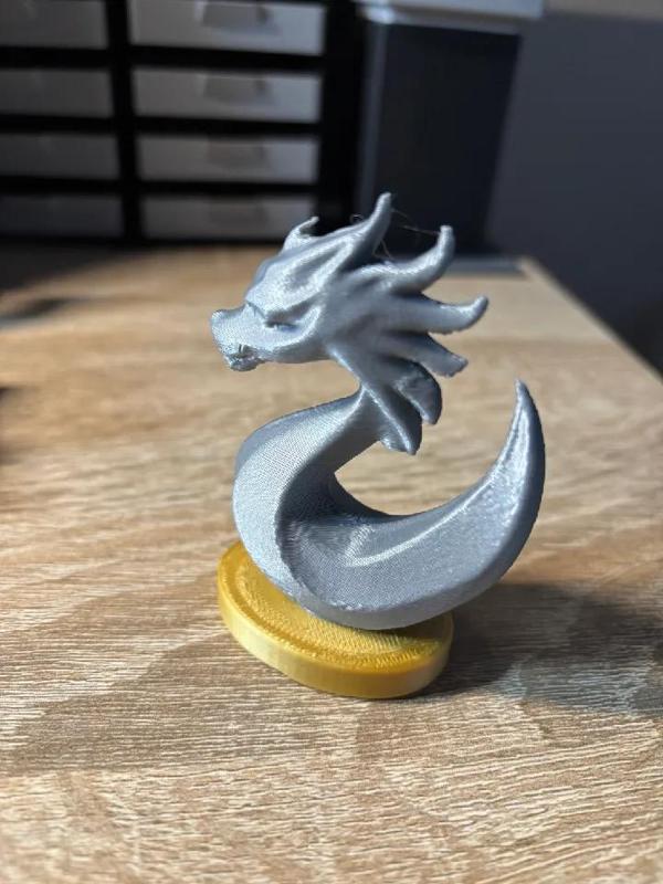 Silver dragon   