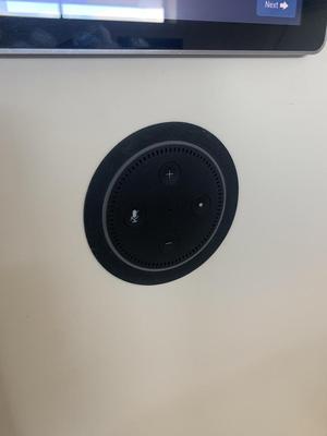 Echo Dot Flush Mount