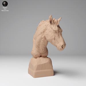 Przewalski s Horse Bust