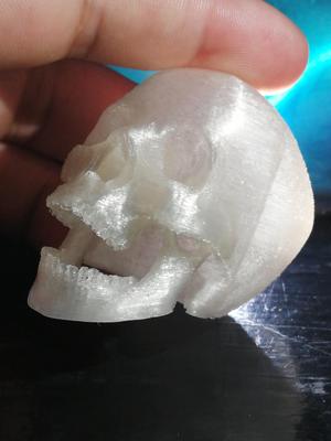 Articulable Skull Articulable Skull