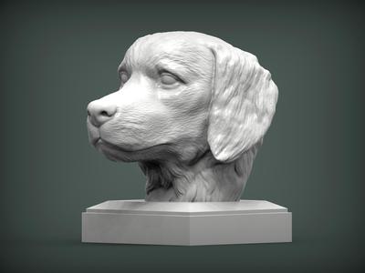 Golden retriever 3D print model