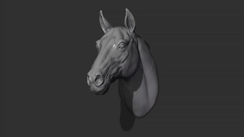 Horse head