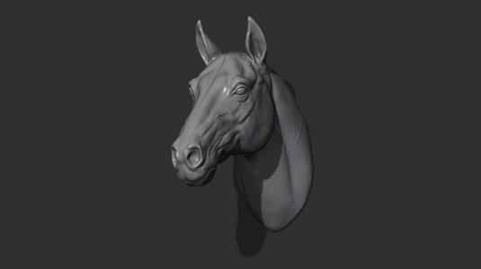 Horse head
