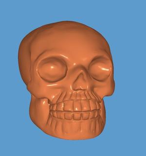skull