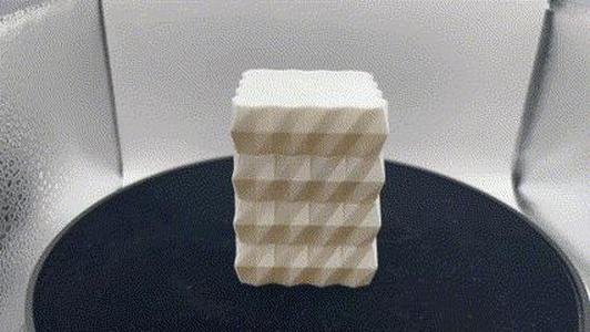 Salt Shaker or Spice Shaker