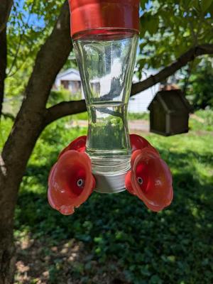 Hummingbird Feeder Bottom Cap   