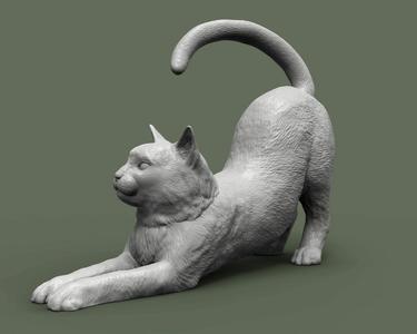 Cat for 3d printing